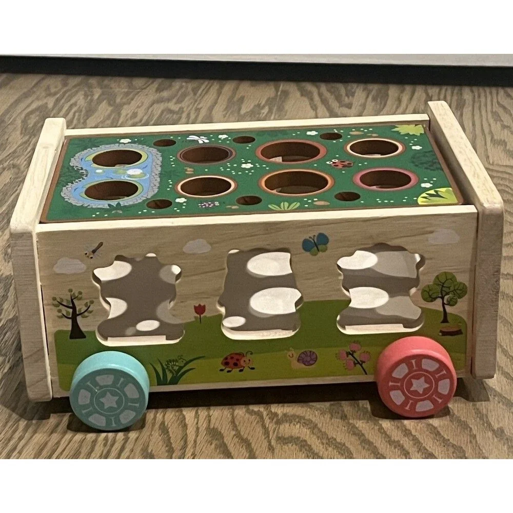 Toddler Montessori Wooden Farm Animal Shape Sorter Hand Eye Coordination